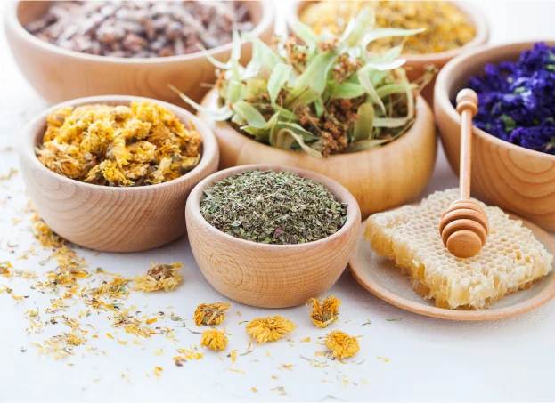 phytothérapie à Bourges dans le Cher 18